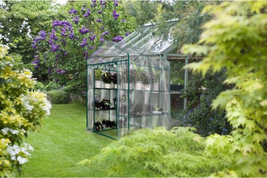 Picture of Greenhouse