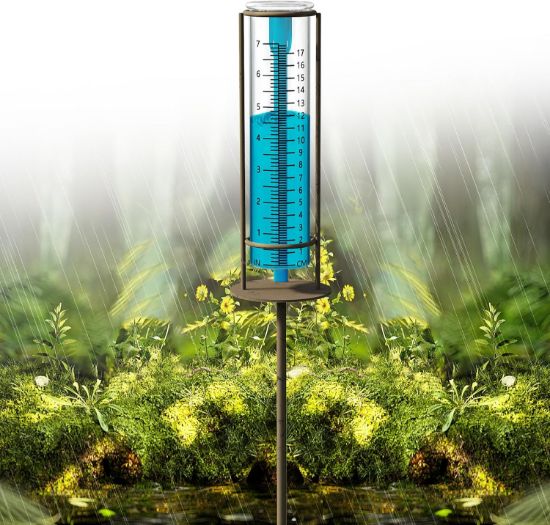 Picture of Rain Gauge