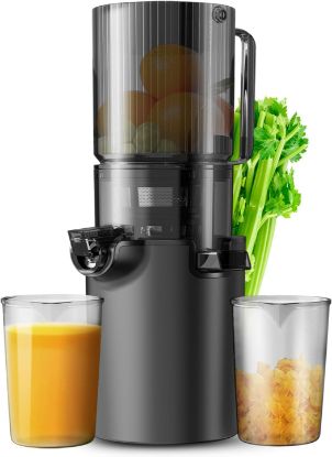 Picture of Masticating Juicer