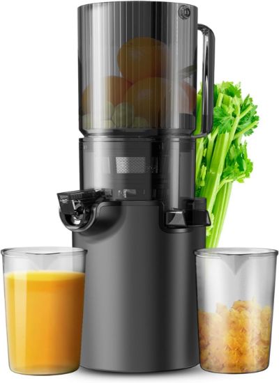 Picture of Masticating Juicer