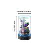 Picture of Desktop Small Fish Tank | Maintenance-Free, Year-Round Pure Water 12*20cm