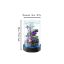 Picture of Desktop Small Fish Tank | Maintenance-Free, Year-Round Pure Water 12*20cm