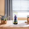 Picture of  Desktop Small Fish Tank | Maintenance-Free, Year-Round Pure Water 12*40cm