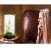 Picture of  Desktop Small Fish Tank | Maintenance-Free, Year-Round Pure Water 12*40cm