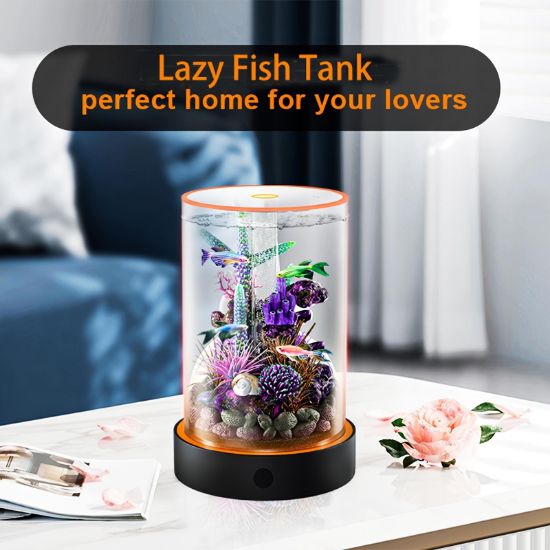 Picture of  Desktop Small Fish Tank | Maintenance-Free, Year-Round Pure Water 12*55cm