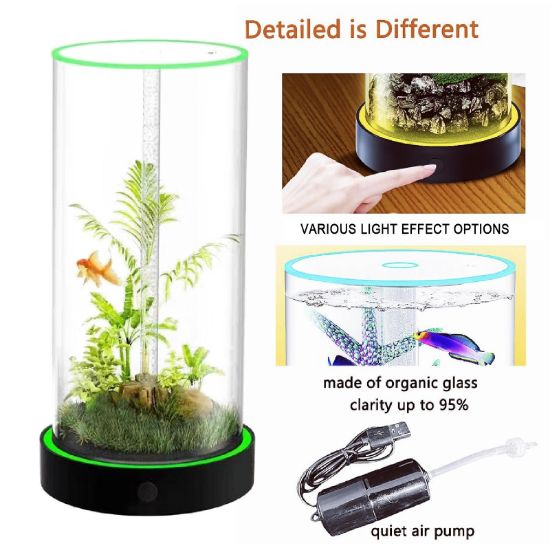 Picture of  Desktop Small Fish Tank | Maintenance-Free, Year-Round Pure Water 12*55cm