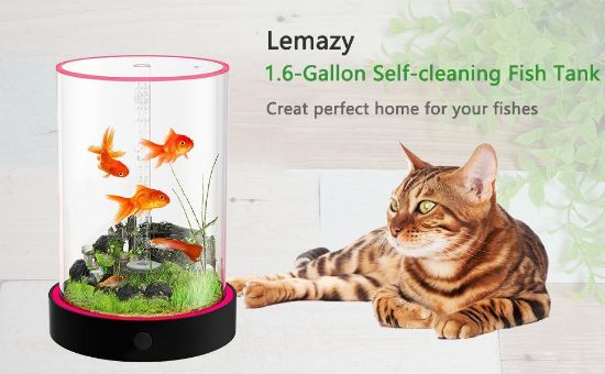 Picture of  Desktop Small Fish Tank | Maintenance-Free, Year-Round Pure Water 12*55cm