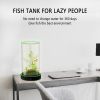 Picture of  Desktop Small Fish Tank | Maintenance-Free, Year-Round Pure Water 12*55cm