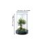 Picture of Unique Gift - Weekend Circular Desktop Aquarium | Plug-and-Play Aquatic Wonderland 16*20cm