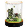 Picture of Unique Gift - Weekend Circular Desktop Aquarium | Plug-and-Play Aquatic Wonderland 16*20cm