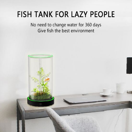 Picture of Unique Gift - Weekend Circular Desktop Aquarium | Plug-and-Play Aquatic Wonderland 16*20cm