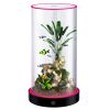 Picture of Unique Gift - Weekend Circular Desktop Aquarium | Plug-and-Play Aquatic Wonderland 16*40cm