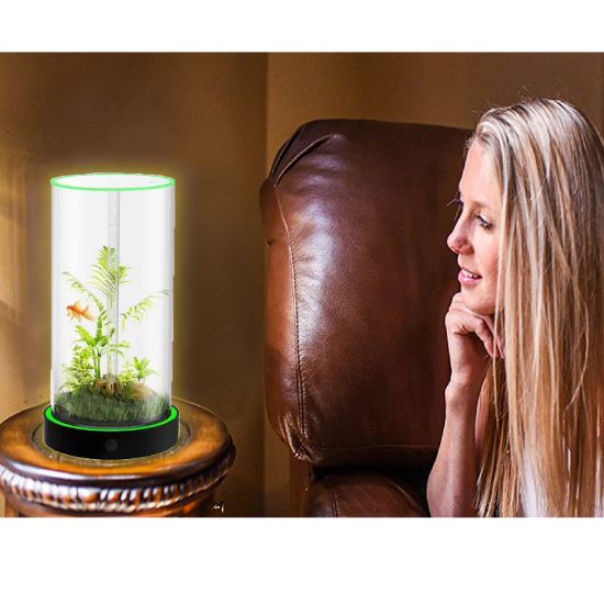 Picture of Unique Gift - Weekend Circular Desktop Aquarium | Plug-and-Play Aquatic Wonderland 16*55cm