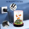 Picture of Family Fun Desktop Aquarium | Easy Maintenance, Stunning Visuals 20*20cm