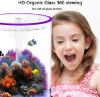 Picture of Family Fun Desktop Aquarium | Easy Maintenance, Stunning Visuals 20*20cm