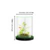 Picture of Family Fun Desktop Aquarium | Easy Maintenance, Stunning Visuals 20*20cm