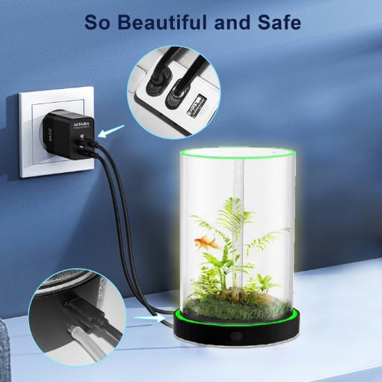 Picture of Family Fun Desktop Aquarium | Easy Maintenance, Stunning Visuals 20*40cm