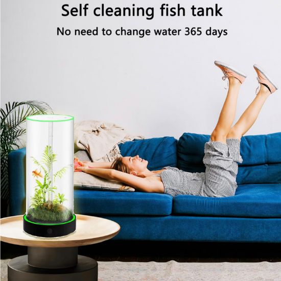 Picture of Family Fun Desktop Aquarium | Easy Maintenance, Stunning Visuals 20*40cm