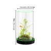 Picture of Family Fun Desktop Aquarium | Easy Maintenance, Stunning Visuals 20*40cm