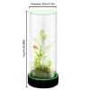 Picture of Family Fun Desktop Aquarium | Easy Maintenance, Stunning Visuals 20*55cm