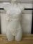 Picture of Sexy lace suit